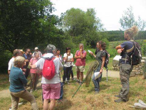 Observation naturaliste - crédits photo MASSON