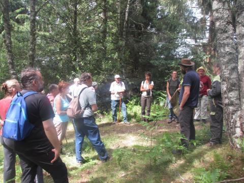 Intervention des bergers - crédits photo BUIS