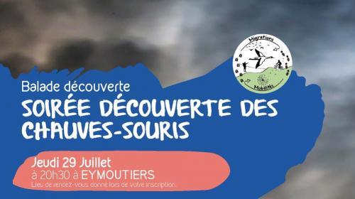 20210729_thema_eymoutiers_chauvesouris_web.jpg